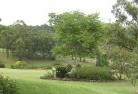 New Beithresidential-landscaping-40.jpg; ?>